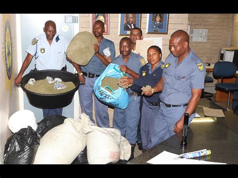 cops weed out dagga dealers zululand observer