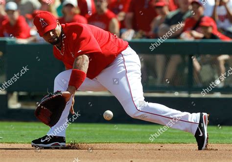 Albert Pujols Los Angeles Angels First Editorial Stock Photo Stock