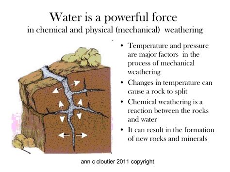 Living organisms in soil (pages 190192). Weathering, soil formation, & erosion processes