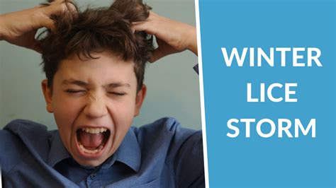 Winter Lice Storm | Lice Lifters of Lafayette Hill ...