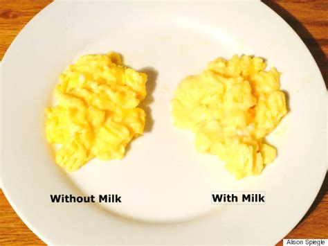 Donating eggs to help other people does sound good, not to mention your. Why Adding Milk To Your Scrambled Eggs Is A Mistake ...