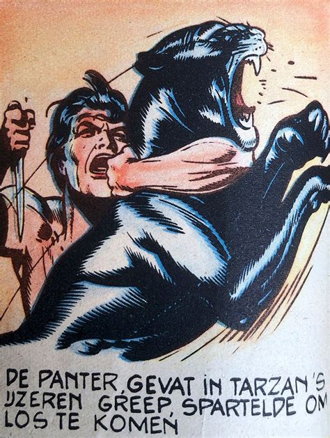 Tarzan By Burne Hogarth Tarzan Fighting A Black Panther Cartoon Illustration Cartoons