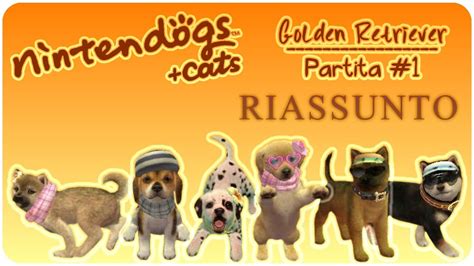 Nintendogs Cats Golden Retriever Partita 1 Riassunto 1110