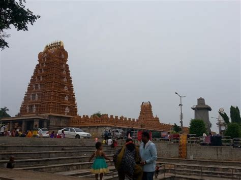 Long View Picture Of Sri Srikanteshwara Temple Nanjangud Tripadvisor