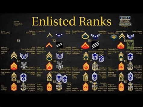 Therefore, only generals were allowed to wear epaulettes, with other ranks reverting to cuff insignia. US Enlisted Ranks | John's Notes