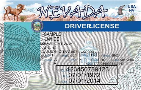 Nevada Driver Licence Visiting Cards Book Design Nevada Usa