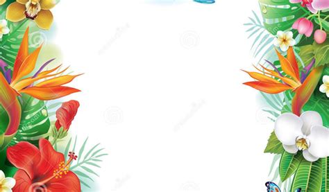 Select from premium fall leaves border of the highest quality. Free Tropical Border Png, Download Free Clip Art, Free ...