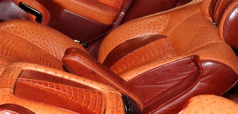 Automotive Roje Exotic Leather