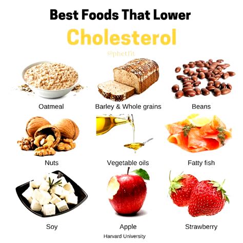 Pureed fruits or vegetables can be. Vegetarian Cholesterol Lowering Recipes / Lowering Cholesterol Naturally 6 Tips Pritikin ...