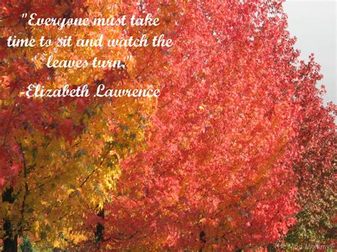 Fall Leave Colors Quotes. QuotesGram