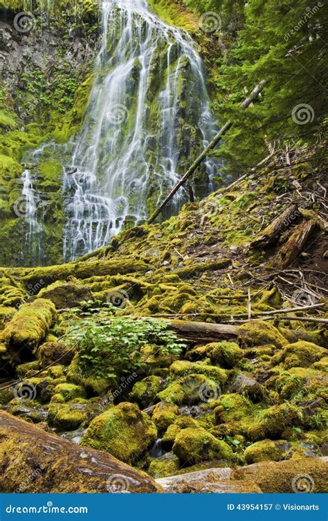 Proxy Waterfall Cascading Over Mossy Rocks Stock Image Image Of