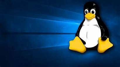 Linux Tux Windows Wallpapers Backgrounds Hardware Background