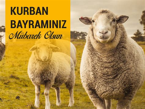 Maybe you would like to learn more about one of these? Kurban Bayramı Mesajları - Kurban Bayramı Mesajı