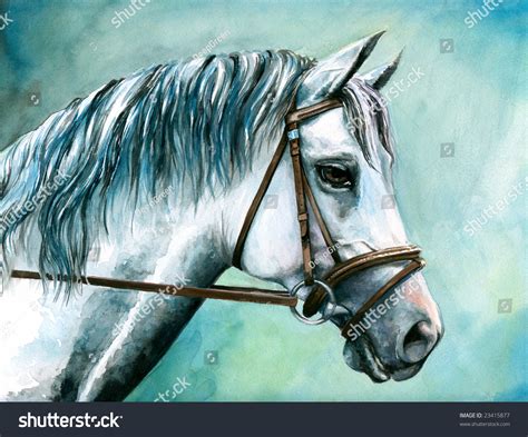 Download Portrait Of White Horse Watercolor Painted. Stock Photo ...