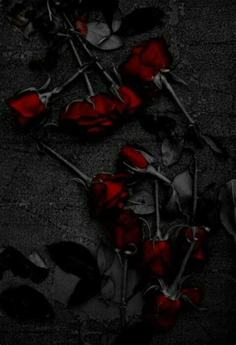 Pin by M's Place on Pics | Rose wallpaper, Gothic rose, Dark fantasy