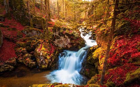Waterfall Trees Autumn Wallpaper Nature And Landscape Wallpaper