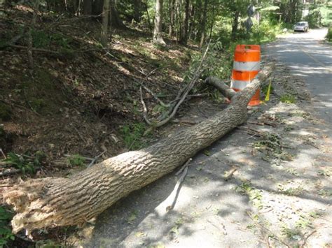 Earth united states massachusetts, us andover, ma boston, ma cambridge, ma somerville, ma northampton, ma worcester, ma amherst, ma. Information on Tree and Branch Disposal - Andover, MA Patch