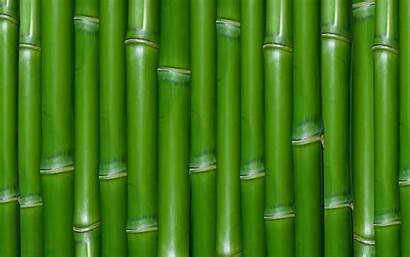 Bamboo Desktop Background Wallpapers Wallpapersafari