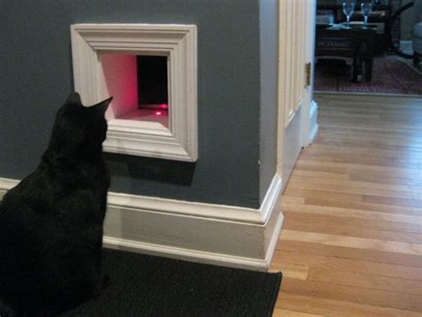 This is a cat door/flap that can only be opened by the animal that wears the appropriate rfid tag. Tips: Building a Cat Tunnel in Your Home | The doors, Love this and Home
