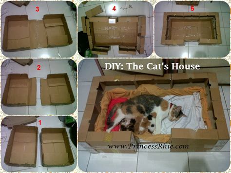 6 tutorial termudah bikin mainan kucing, cuma butuh tiga bahan! Tempat Tidur Kucing Sederhana | Interior Rumah