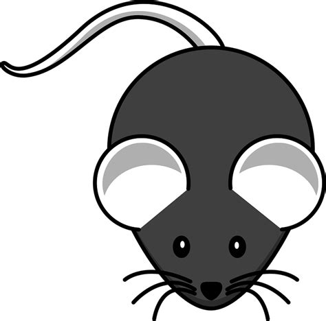 Mouse Black Mammal · Free Vector Graphic On Pixabay