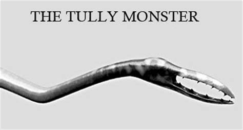 Dating of the fossilized remains showed that it lived approximately 300 million years ago. Science Snippet: The Tully Monster - Door County Pulse