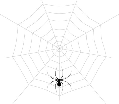 Spider Web Spider Man Pattern Angle Spiderman Png Download 600527
