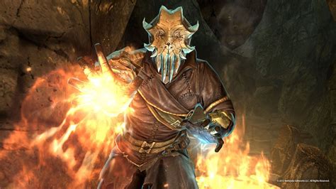 This video will show you how to active all the skrim dlc. The Elder Scrolls V: Skyrim - Dragonborn | wingamestore.com