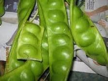 Daging belalang yang masih segar mengandung sekitar 20% dari total berat tubuhnya. Anim Agro Technology: NAMA LAIN - PETAI