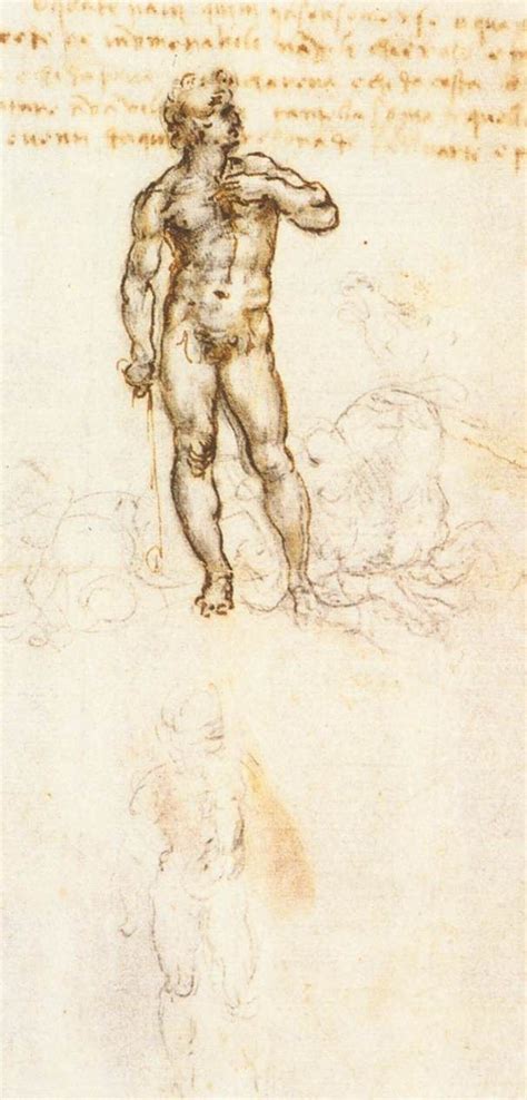 247 Best Images About Leonardo Da Vinci On Pinterest