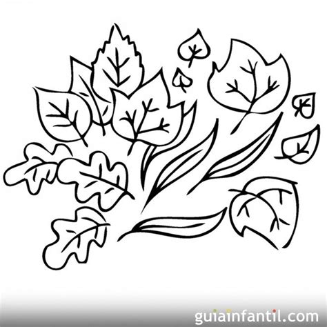 Dibujo de hojas en otoño para colorear - Otoño. Dibujos infantiles para