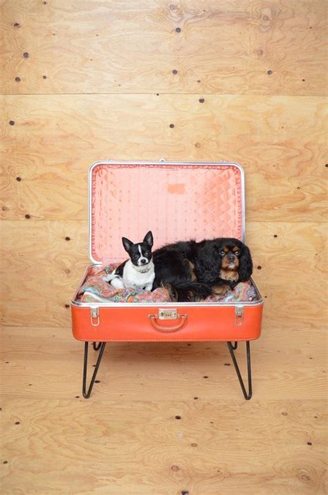 Vintage Repurposed Red Suitcase Dog Bed With Hairpin Legs Etsy
