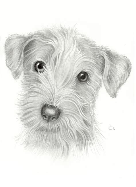 Vediamo alcuni disegni di animali da stampare e colorare gratis della. Disegni a matita di animali