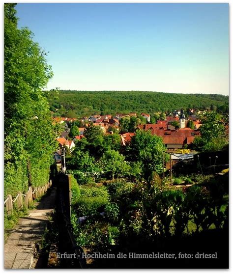 Erfurt campgrounds erfurt hostels erfurt family hotels erfurt business hotels romantic hotels in erfurt erfurt spa resorts erfurt things to do in erfurt. Himmelsleiter in Hochheim mit über 200 Stufen. | Garten ...