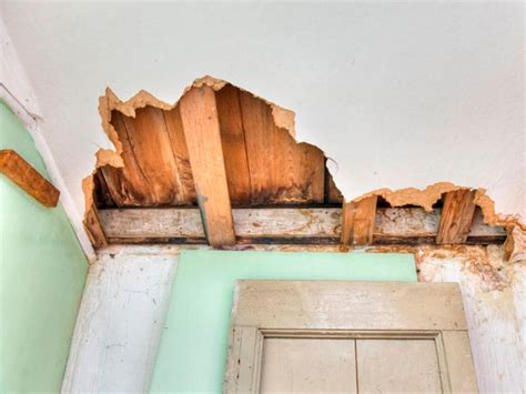 (before considering the types of back surgery for a. The Biggest Threats to a Healthy Home | HGTV