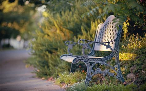 Find your next background that inspires and excites. Bench HD Wallpaper | Background Image | 1920x1200 | ID ...