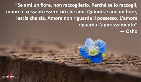 Immagini Tumblr 6 | Sapevatelo