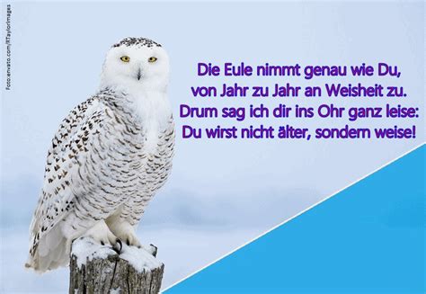 We did not find results for: Die Eule nimmt genau wie Du, von Jahr zu Jahr an Weisheit ...