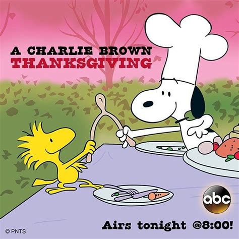 Thanksgiving cartoon peanuts thanksgiving halloween peanut pictures peanut disney snoopy love gang. 24.1k Likes, 320 Comments - Snoopy And The Peanuts Gang ...