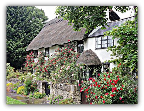 Rose Cottage English Cottage Garden Country Cottage Cottage