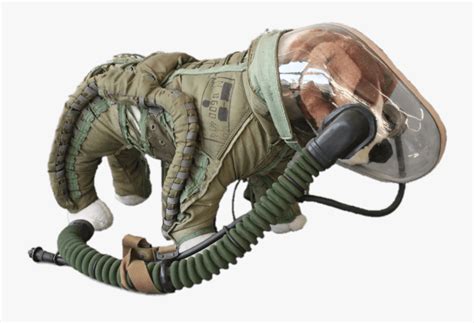 Space Suit For Dogs Soviet Dog Spacesuit Free Transparent Clipart