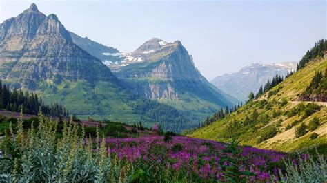Our Trip To Glacier National Park This Summer Rcampingandhiking