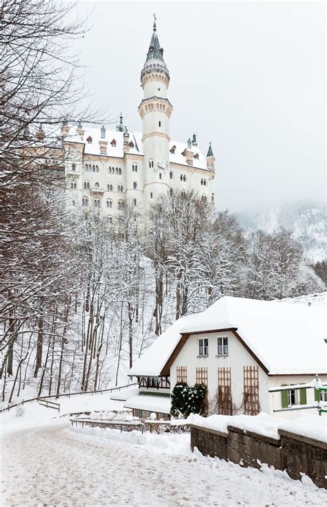 Neuschwanstein Castle At Snowy Winter Neuschwanstein Castle Germany