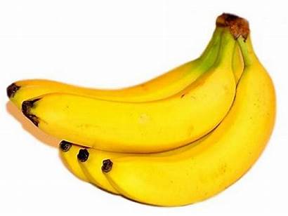Bananas Facts Interesting Banana Very