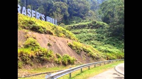 Popular attractions fraser's hill golf club and pine tree trail are located nearby. Fraser's Hill - Tourist Attractions in Malaysia - YouTube