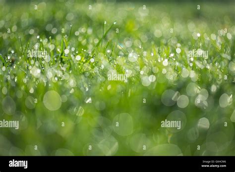 Wet Hi Res Stock Photography And Images Alamy