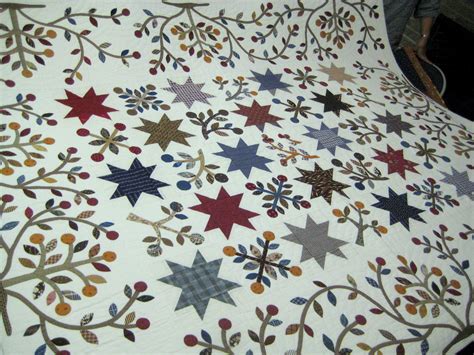 Kim Mclean Stars And Sprigs Traditional Quilts Applique Quilts