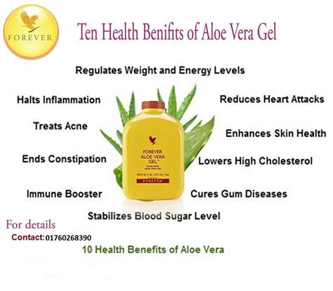 What are the benefits of aloe vera gel or drinks?. All kinds of forever living products: Aloe Vera Gel and ...
