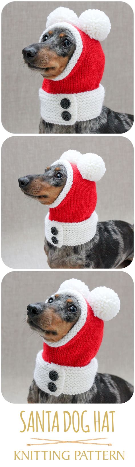 Knitted Santa Dog Hat In 2020 Dog Hat Santa Dog Hats