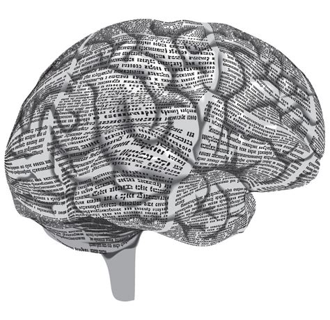Gray Matter How We Process Information Health Brain And Neuroscience